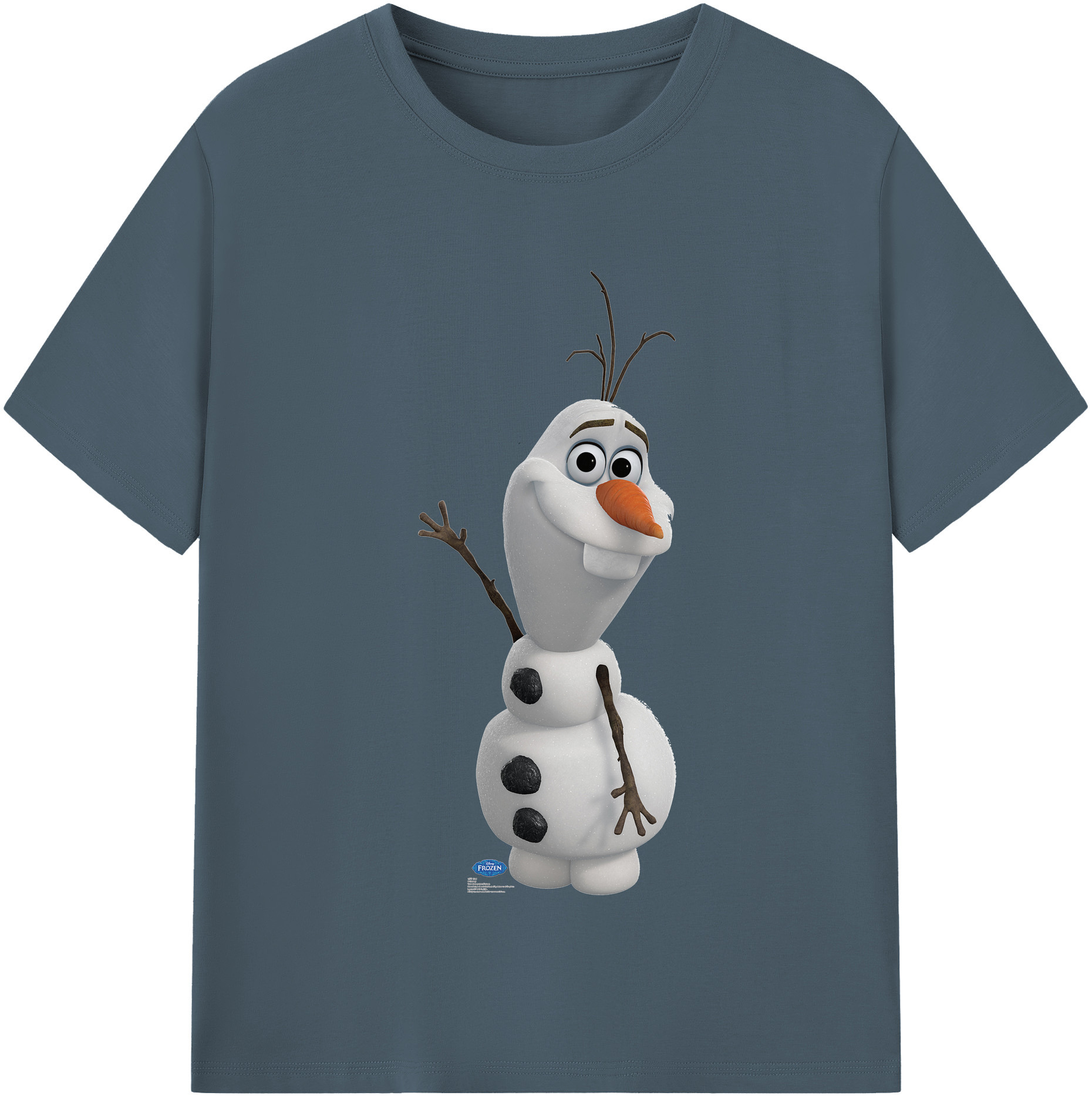 （画像用） アナと雪の女王 アンナ エルサ Frozen Anna Elsa 綿100％半袖Tシャツ（フロントプリント）